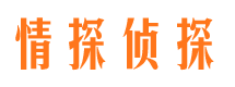 汾阳市调查公司